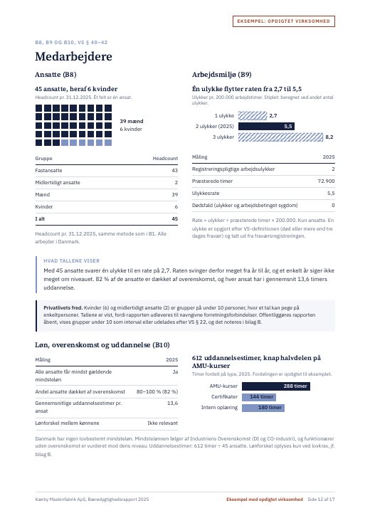Side 12: ledelsens godkendelse og forbehold
